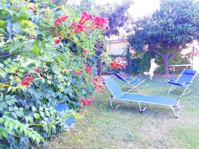 Modern apartment with mountain view - 80 m² - Canosa Sannita